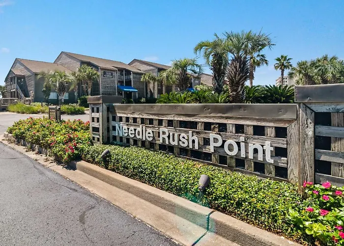 Needle Rush Point Unit B24
