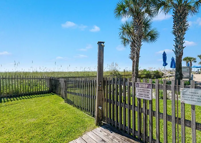Needle Rush Point Unit B24 * Pensacola